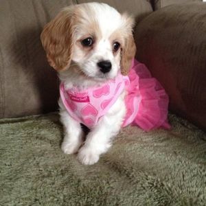 Meet your Posher, Maryann